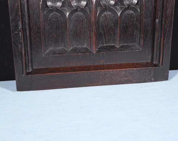 French Antique Gothic Revival Panel in Solid Chestnut Wood Salvage Late 1800's