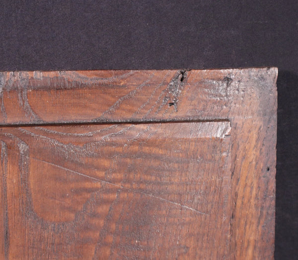 Pair of French Antique Highly Carved Breton Panels in Solid Chestnut Wood