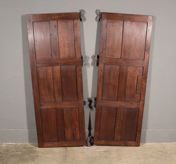 Pair of French Antique Neo Gothic Cabinet Doors in Oak Wood Linen Fold Carvings