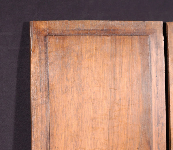 Pair of French Antique Solid Walnut Highly Carved Panels with Intricate Designs