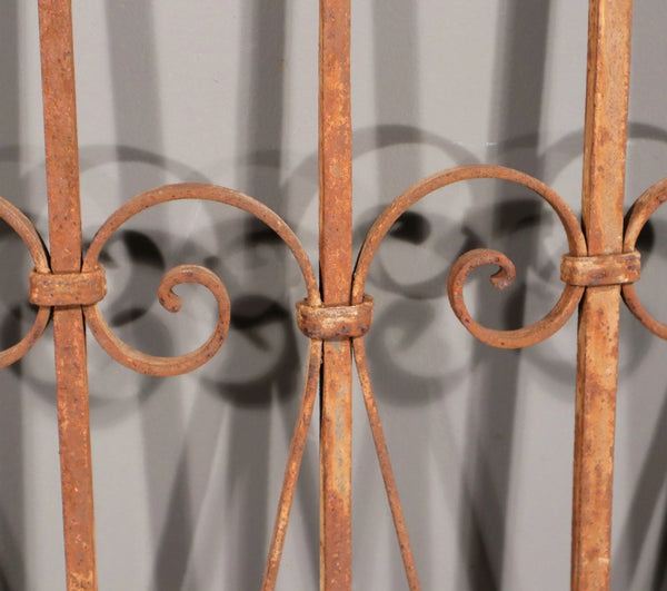 56" Tall Antique French Iron Decorative Window Panel/Fence/Gate Late 1800's