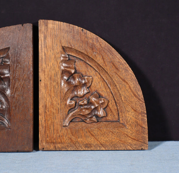 Pair of Gothic Carved French Architectural Panels/Trim in Solid Oak Wood Salvage