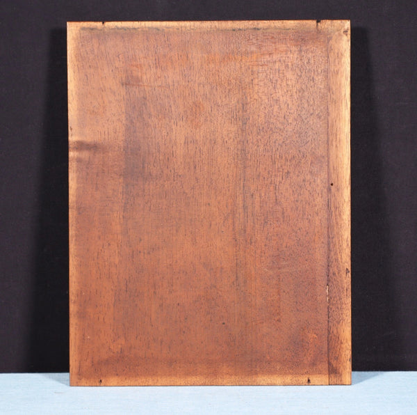 French Antique Gothic Revival Panel in Solid Walnut w/Linen Fold Carving