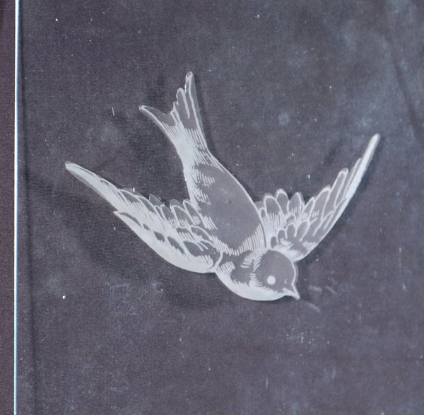 18" Tall Pair of Antique French Etched Glass Windows Frosted Glass with Birds