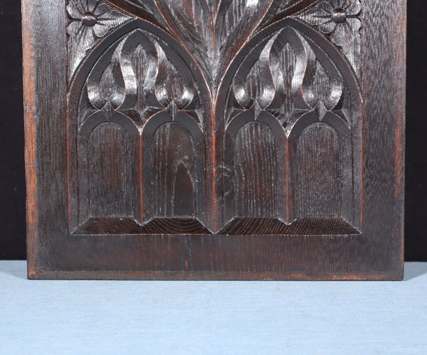 French Antique Gothic Revival Panel in Solid Chestnut Wood Salvage Late 1800's
