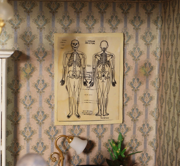 Vintage Dutch Diorama of Doctors Office Shadow Box/Doll House 1:12 Scale