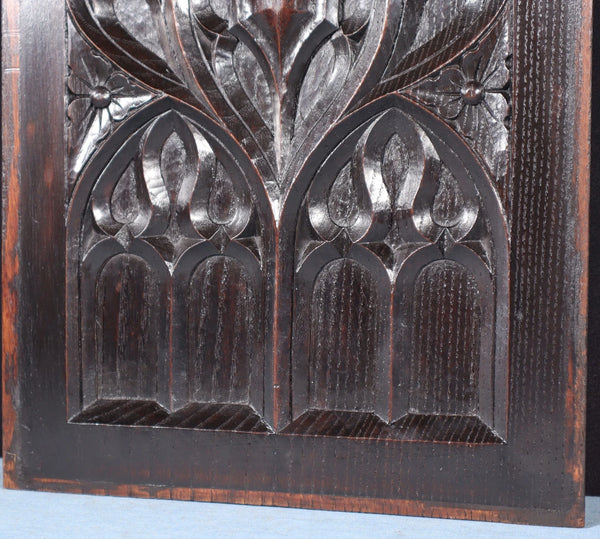 French Antique Gothic Revival Panel in Solid Chestnut Wood Salvage Late 1800's