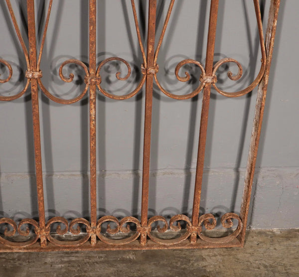 56" Tall Antique French Iron Decorative Window Panel/Fence/Gate Late 1800's
